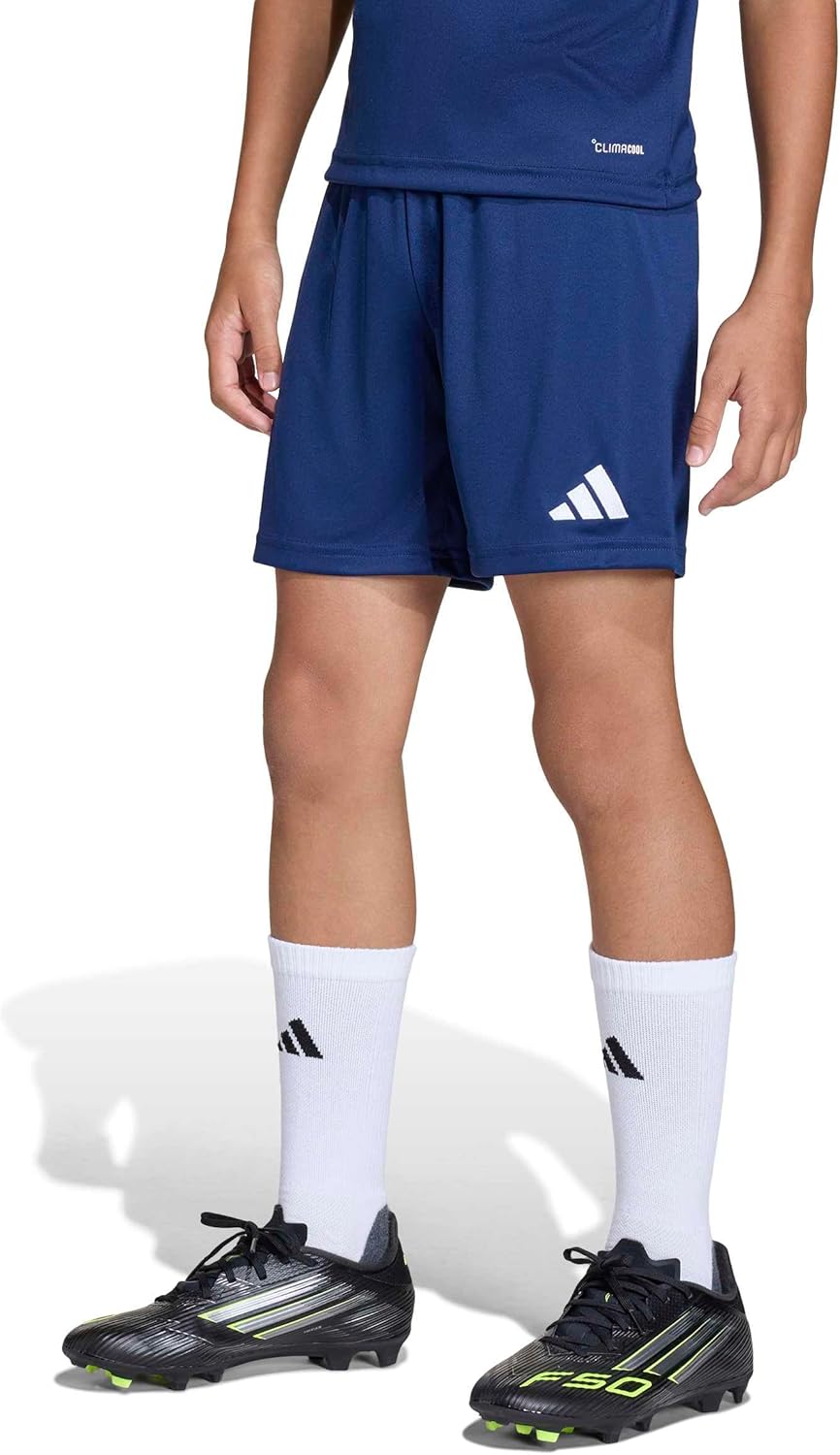 adidas Unisex-Kids Entrada 26 Shorts